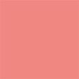 Rouge Blush - Shimmer