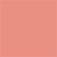 Rouge Blush - Shimmer