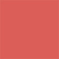 Rouge Blush - Shimmer