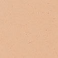 Studio Radiance Serum-Powered™ Foundation