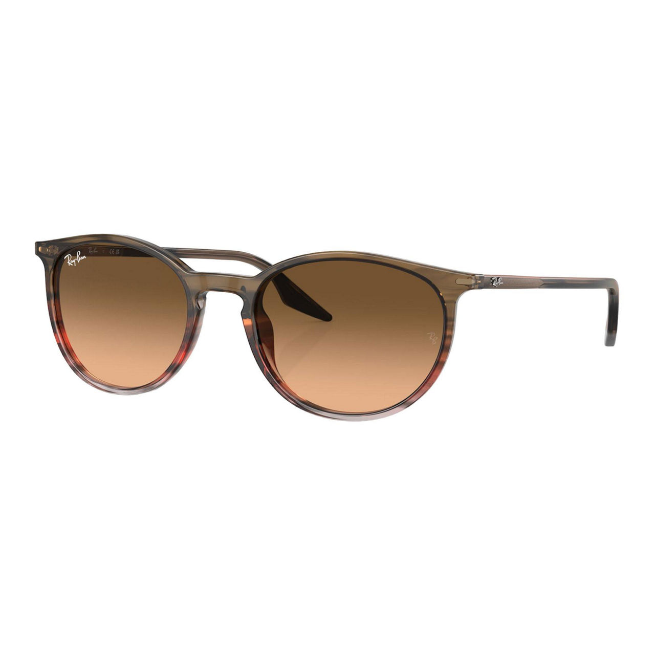 RAY BAN Phantos Sunglasses RB2204