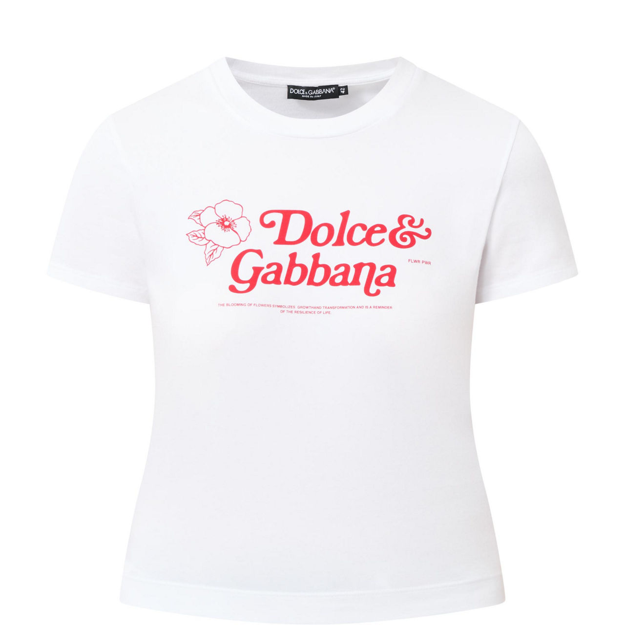 Dolce & Gabbana Active Sports Bras