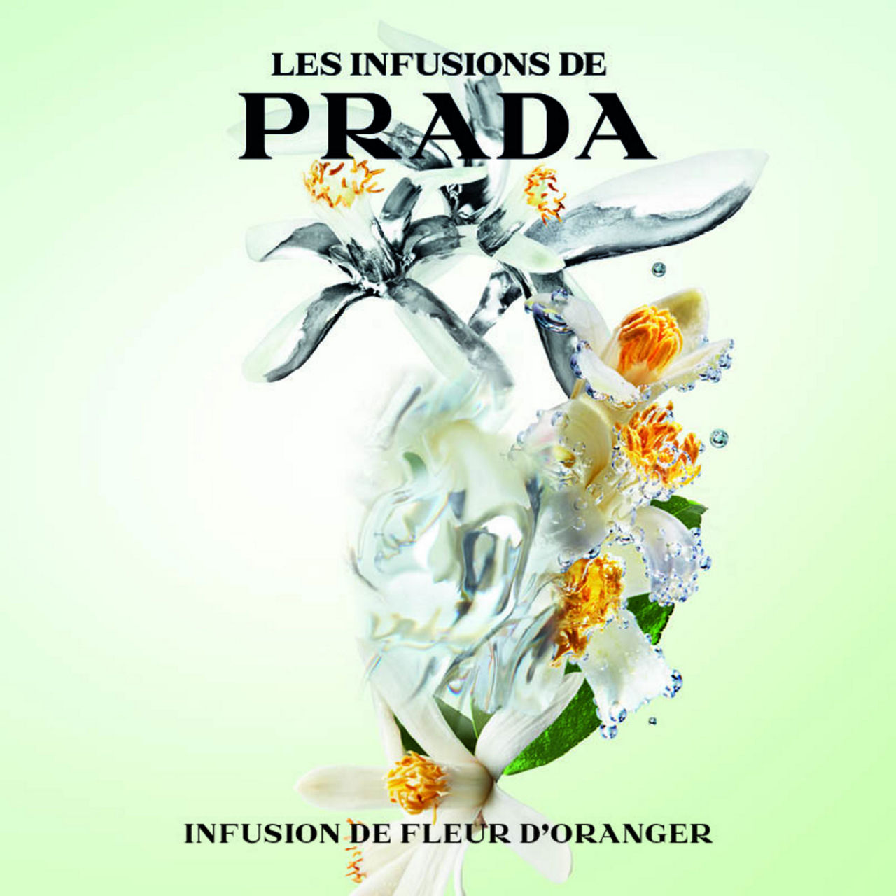 Infusion de Fleur d'Oranger Eau De Parfum