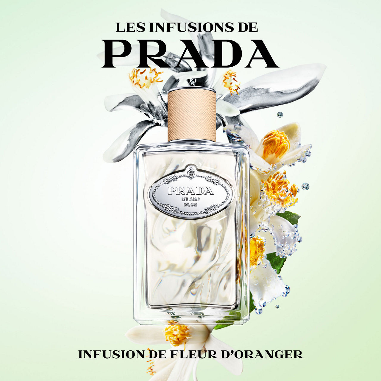 Infusion de Fleur d'Oranger Eau De Parfum