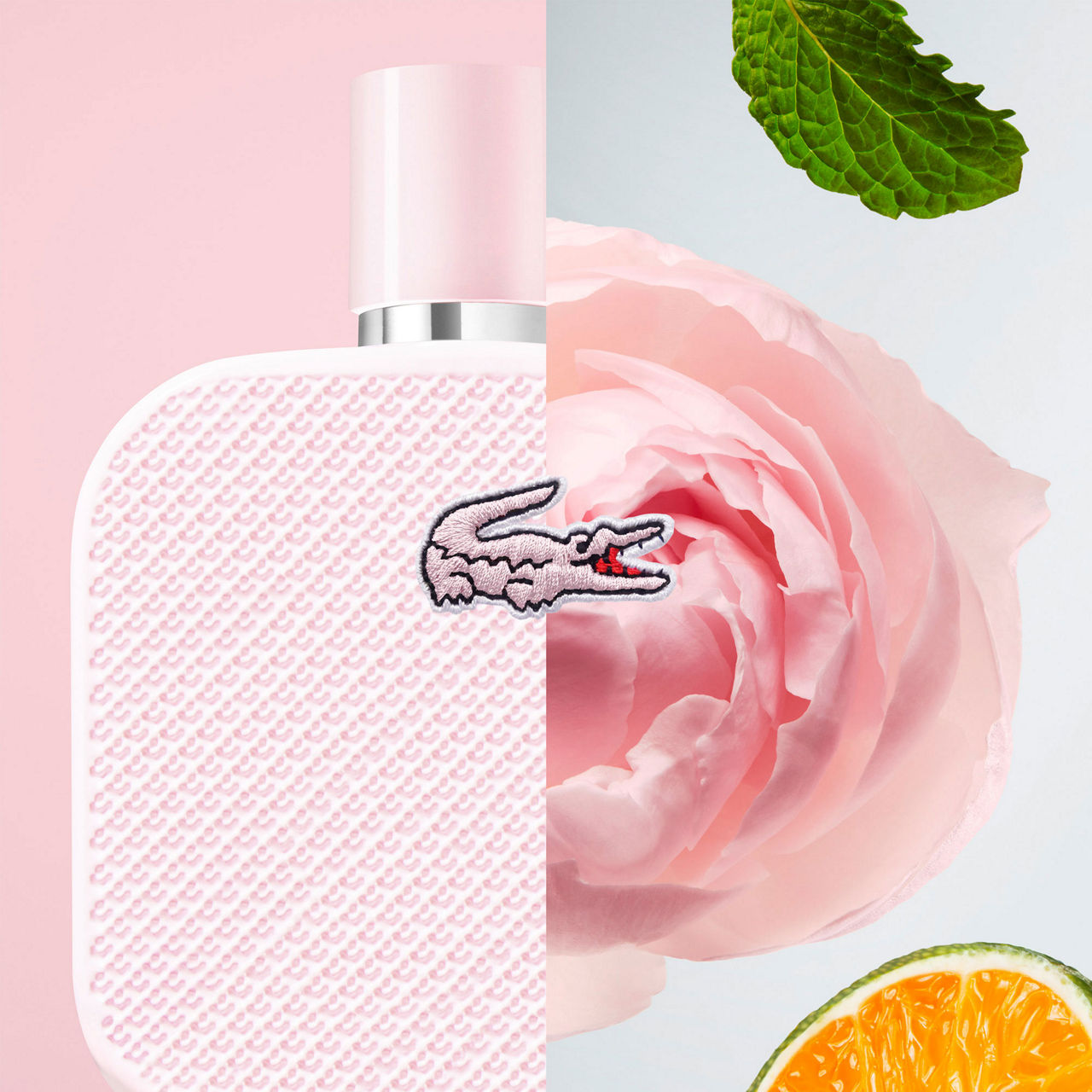 Lacoste parfum l12 12 best sale