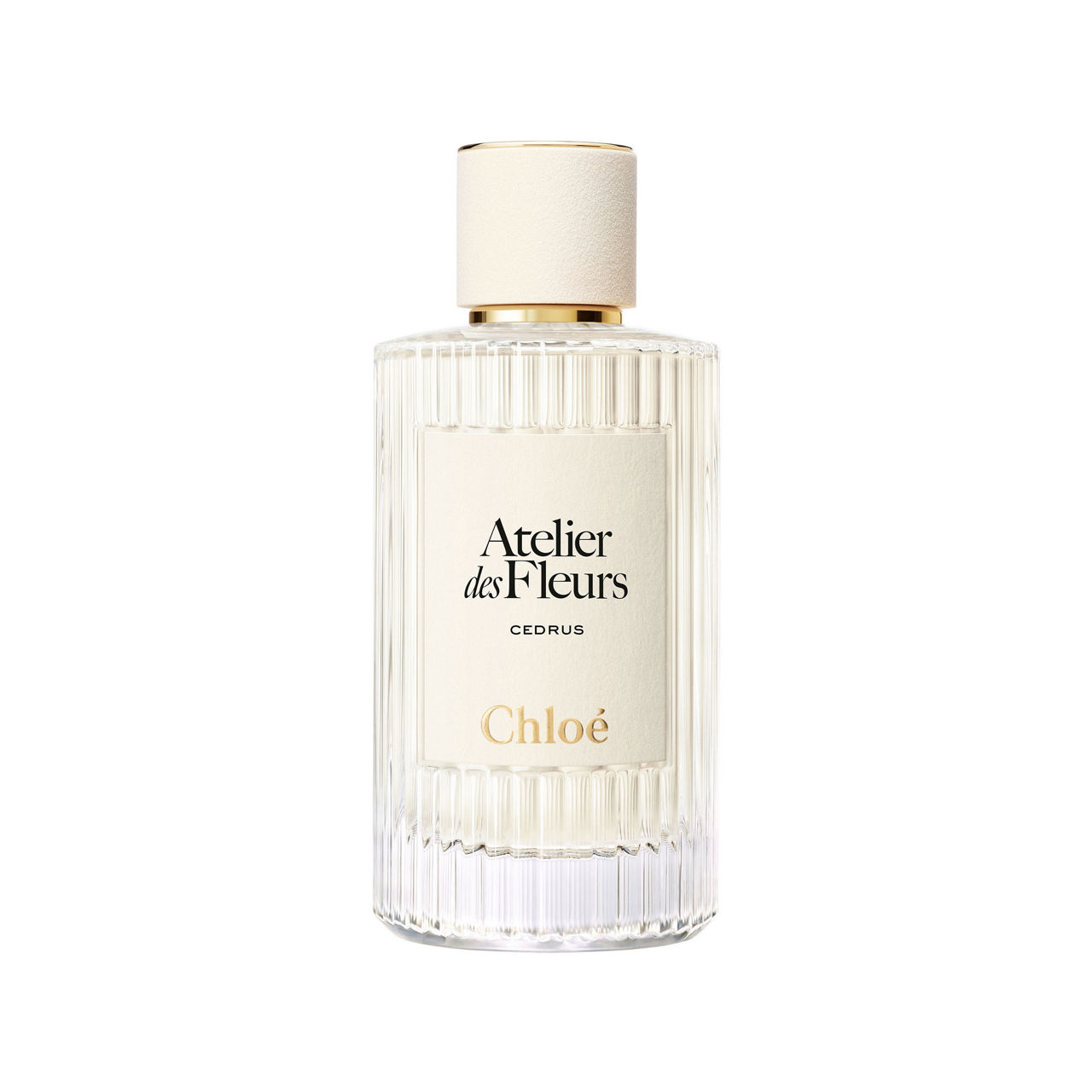 Chloe sale perfume on sale