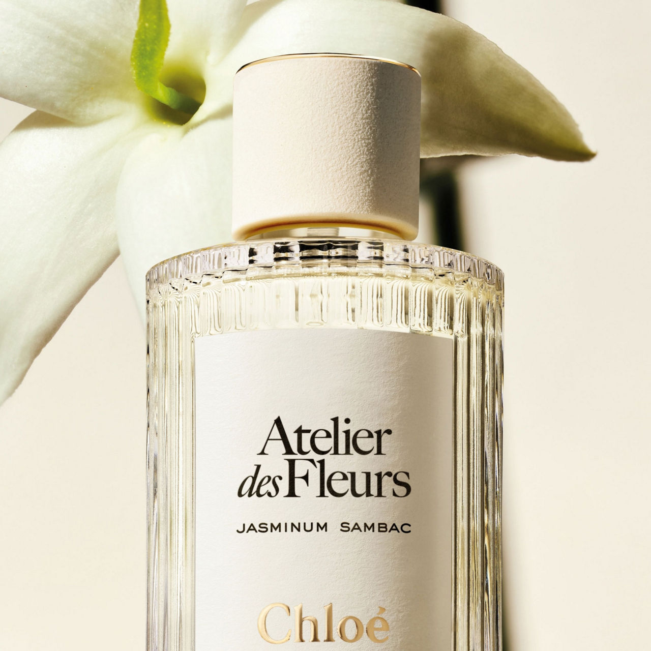 CHLOE Jasminum Sambac Eau de Parfum