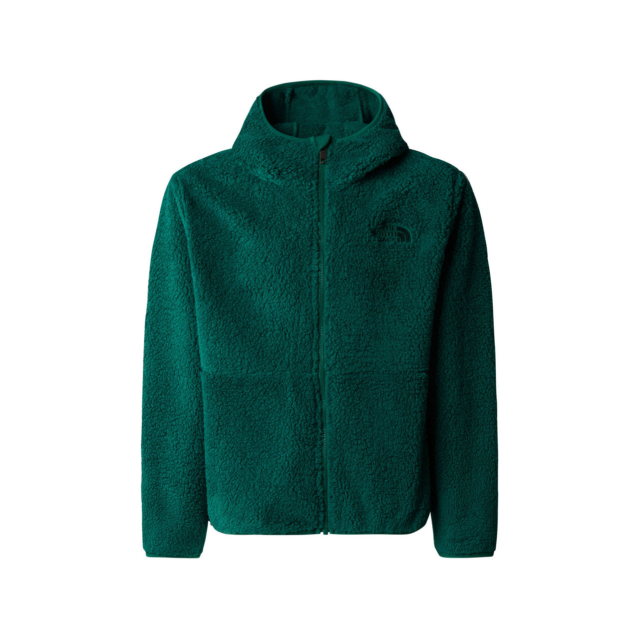 THE NORTH FACE Campshire Full Zip Fleece Hoodie EVERGREEN