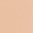 Weightless Skin Foundation SPF15