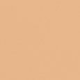 Weightless Skin Foundation SPF15