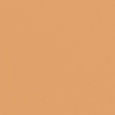 Weightless Skin Foundation SPF15