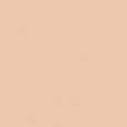 Weightless Skin Foundation SPF15