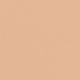 Weightless Skin Foundation SPF15