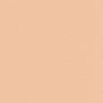 Weightless Skin Foundation SPF15