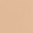 Weightless Skin Foundation SPF15