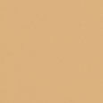 Weightless Skin Foundation SPF15