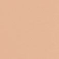 Weightless Skin Foundation SPF15