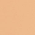 Weightless Skin Foundation SPF15