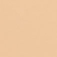 Weightless Skin Foundation SPF15