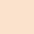 Skin Tint Blurring Elixir