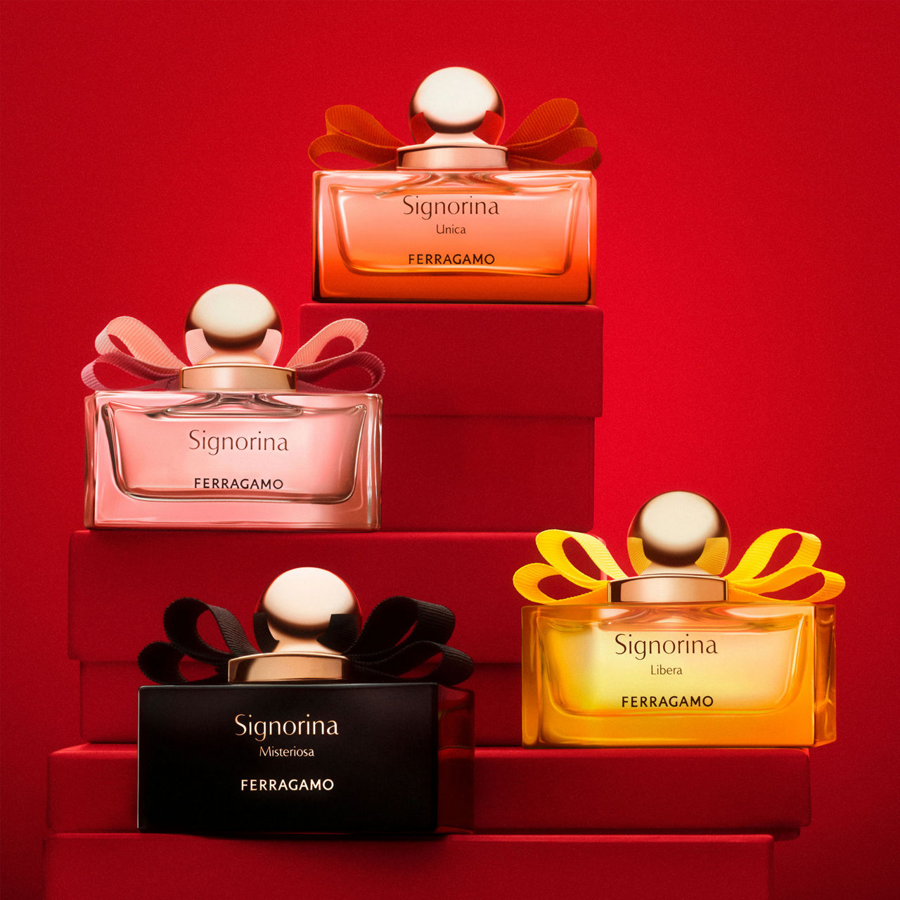 Ferragamo gift box on sale