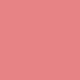 Tinted Lip Gloss