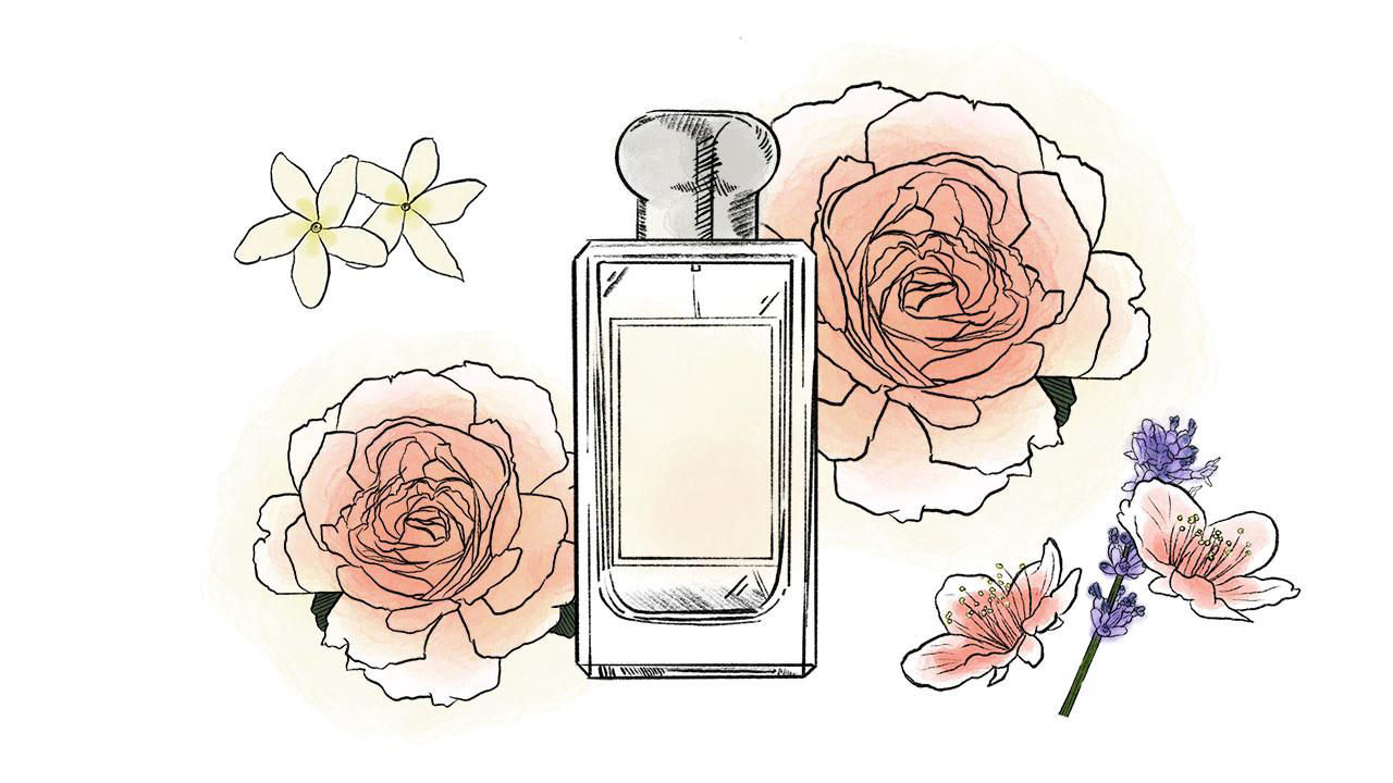 illustration of perfume