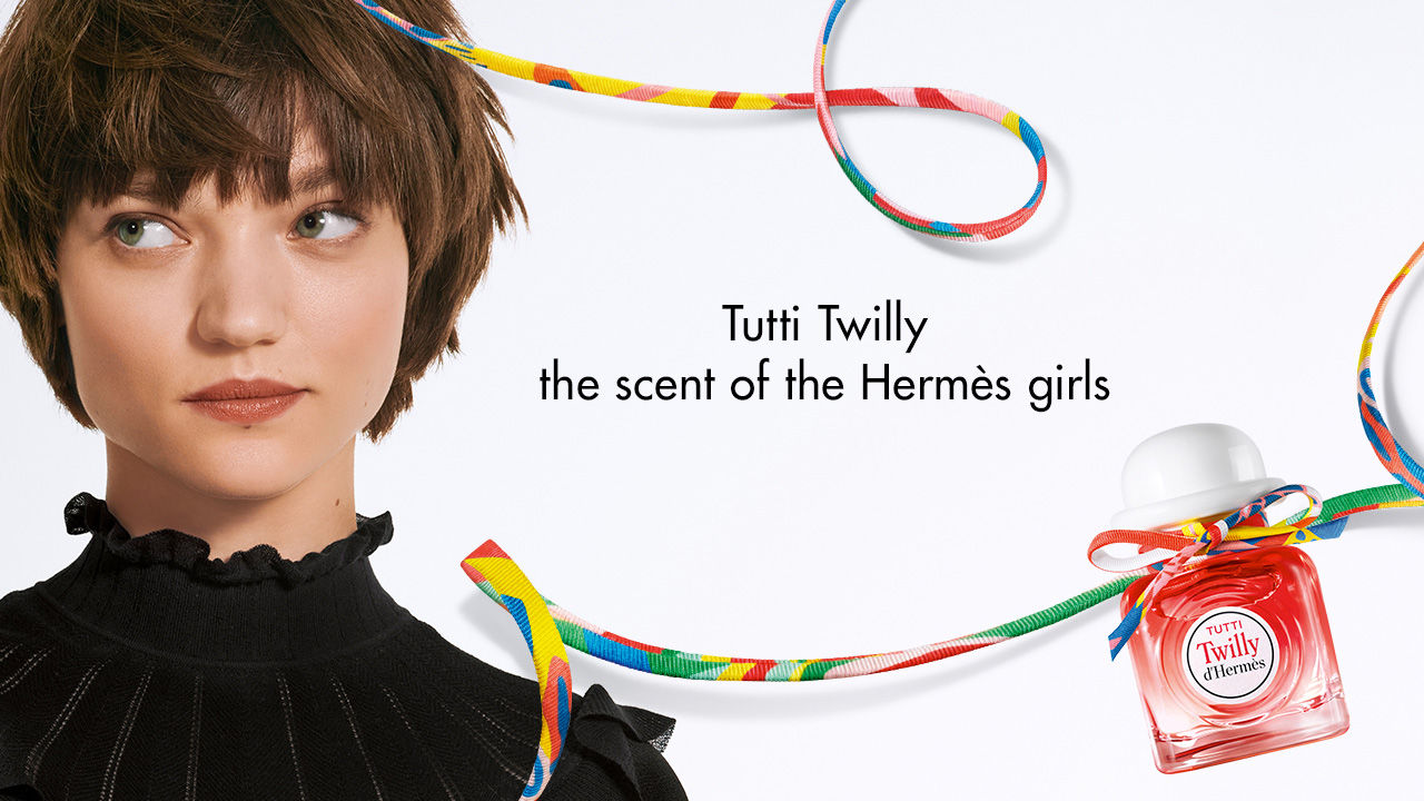 MAGIC OF THE TWILLY SCARF  Hermes handbags, Hermes evelyn bag