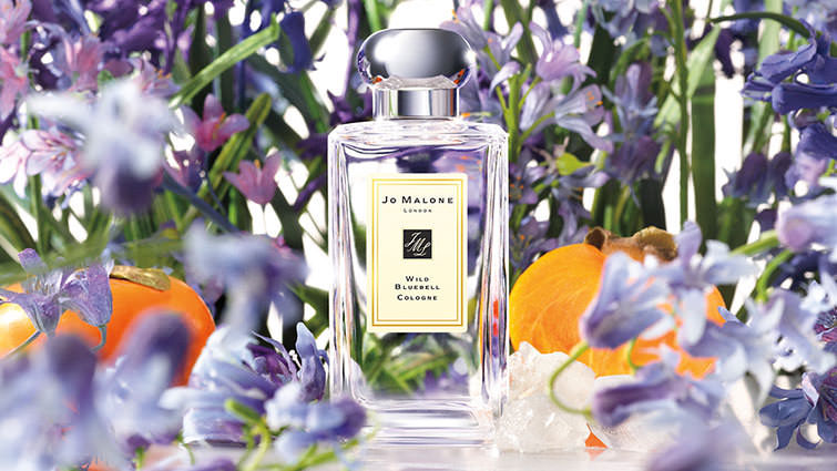 Jo malone perfume cheap wild bluebell price