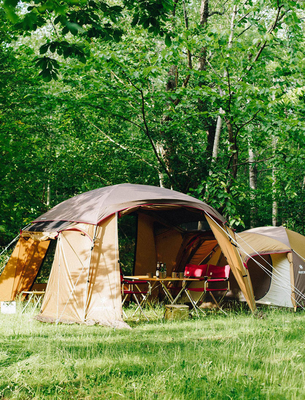 Rise & Shine Arnotts Magazine