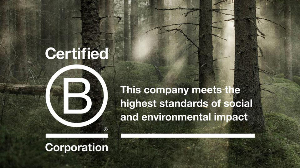 Packaging Is Made From Swedish Forests