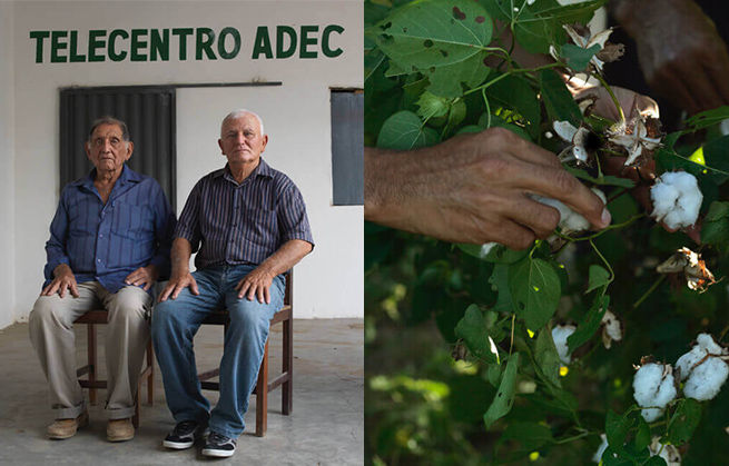 brown thomas vejas sale